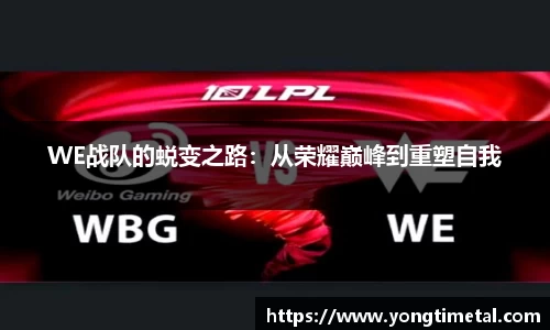 WE战队的蜕变之路：从荣耀巅峰到重塑自我