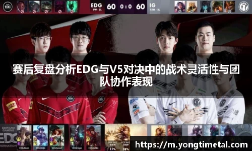 赛后复盘分析EDG与V5对决中的战术灵活性与团队协作表现